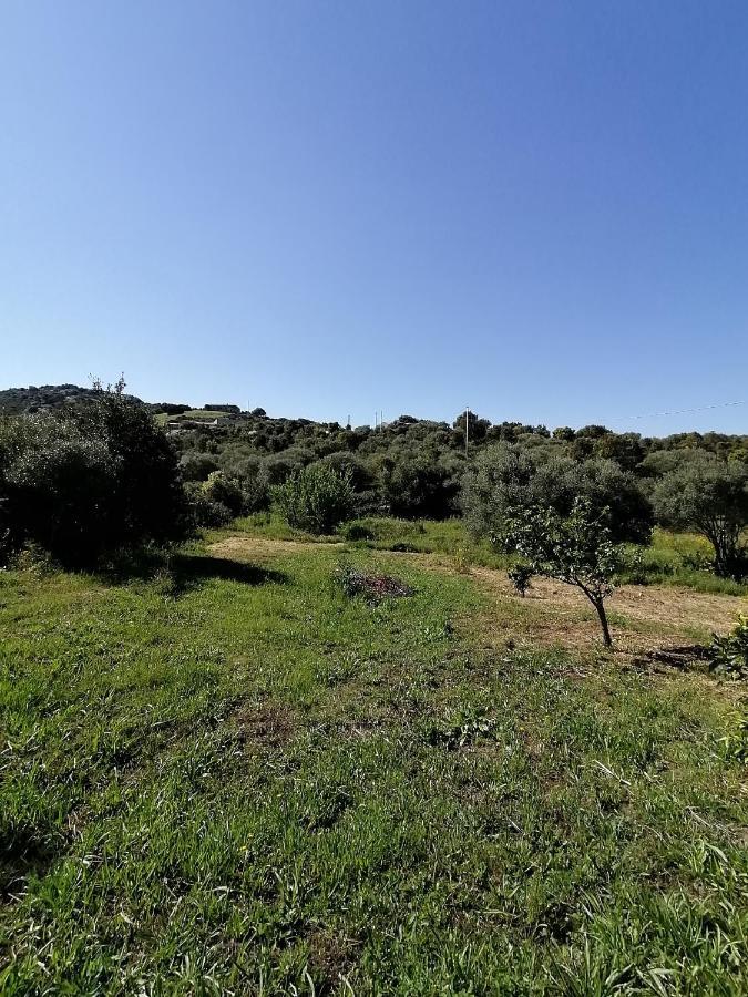 Casa La Liccia Country house