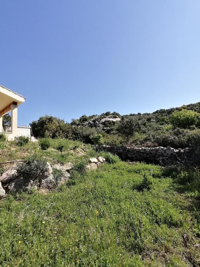 Country house Casa La Liccia Arzachena