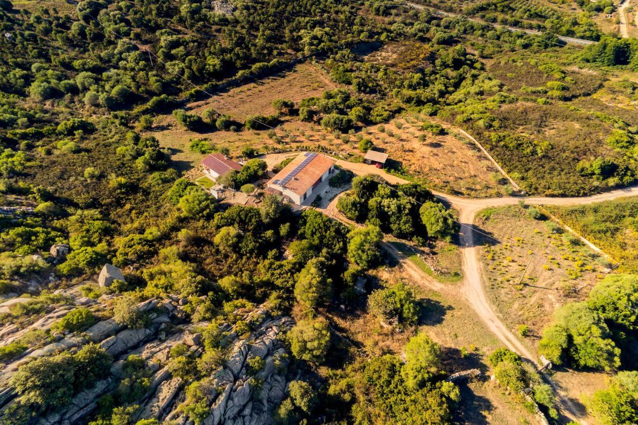 Country house Casa La Liccia *